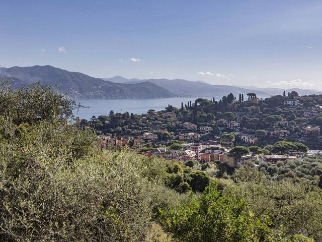 Appartamento in affitto a San Lorenzo Della Costa, Liguria