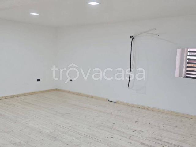 Appartamento in affitto a Unione Terre e Fiumi, Berra