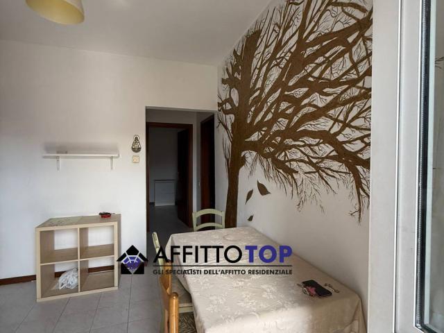 Appartamento in affitto a Sarzana, Liguria