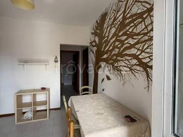 Appartamento in affitto a Sarzana, Liguria