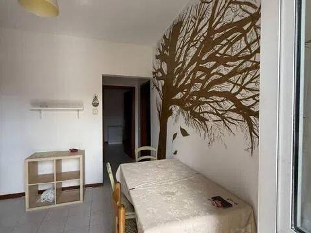Appartamento in affitto a Sarzana, Liguria