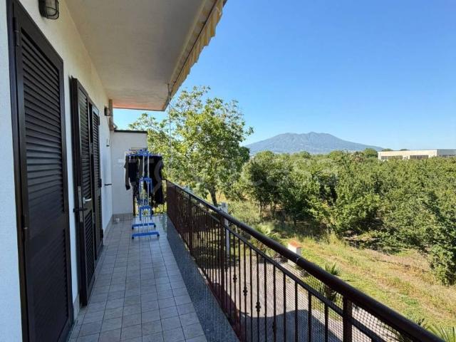 Appartamento in affitto a Saviano, Campania