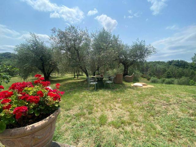 Appartamento in affitto a Scandicci, Toscana