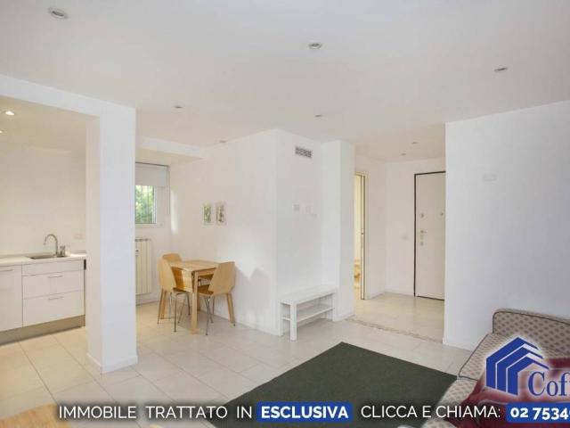 Appartamento in affitto a San Felice, Segrate