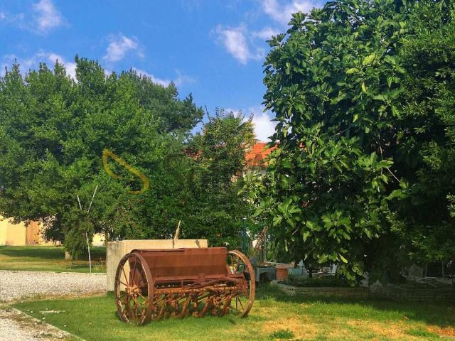 Appartamento in affitto a Marche, Ancona