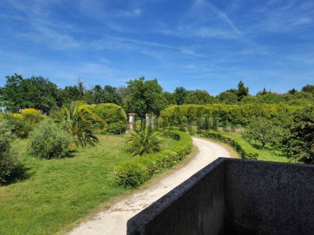 Appartamento in affitto a Sant'Angelo, Marche