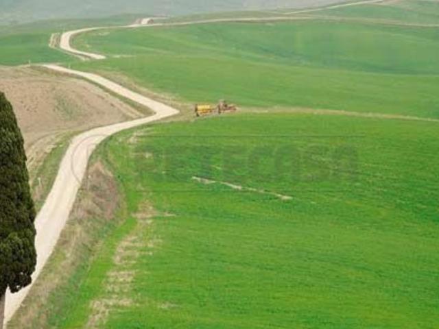 Appartamento in affitto a Monteroni D'arbia, Toscana
