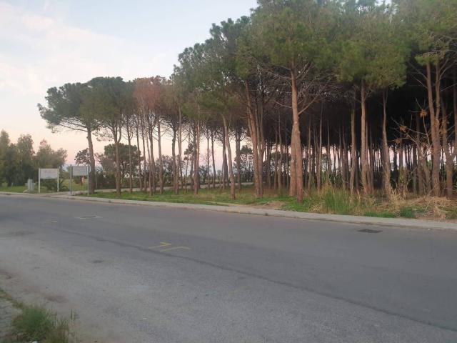 Appartamento in affitto a Soverato Marina, Calabria