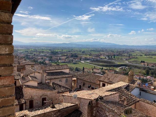 Appartamento in affitto a Spello, Perugia