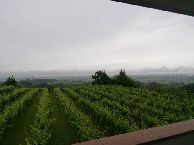 Appartamento in affitto a Susegana, Veneto