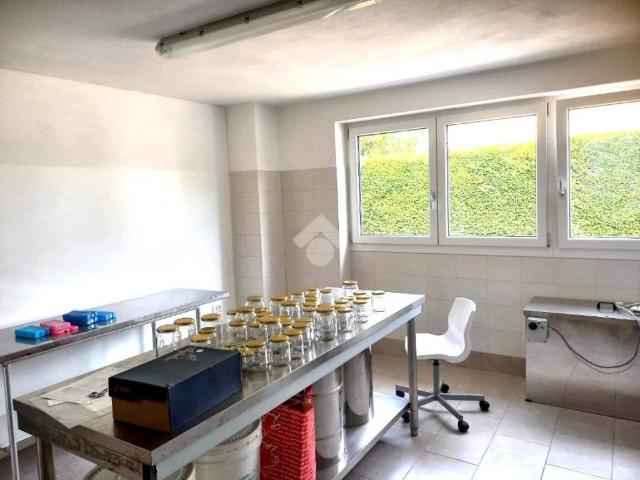 Appartamento in affitto a Teolo, Veneto