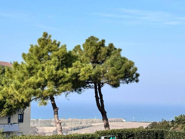 Appartamento in affitto a Termoli, Molise