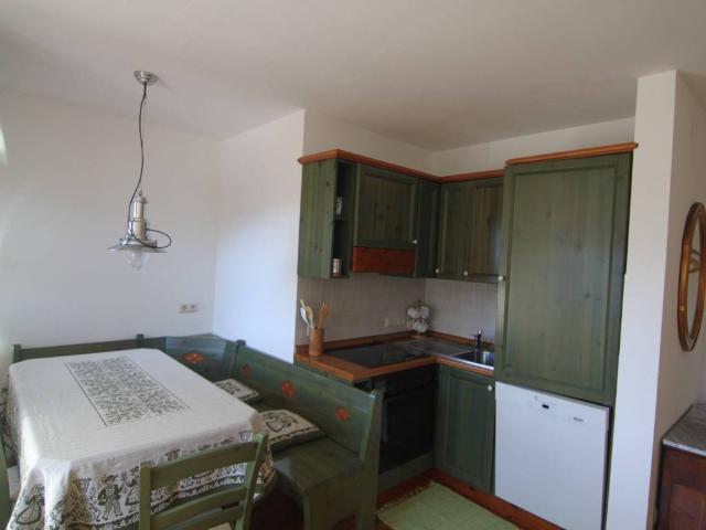 Appartamento in affitto a Salten-Schlern - Salto-Sciliar, Tires - Tiers