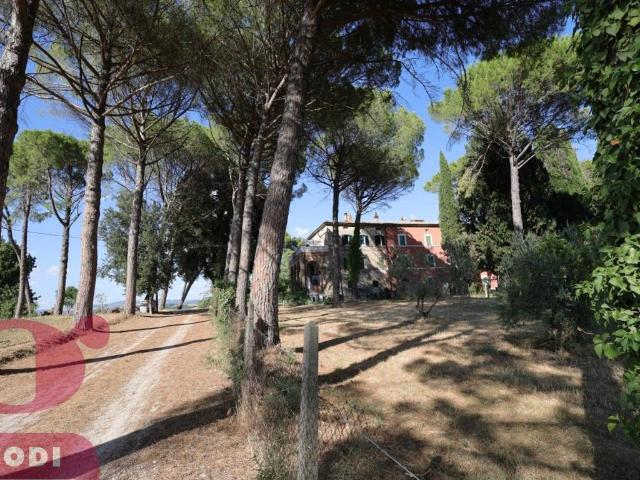 Appartamento in affitto a Todi, Perugia