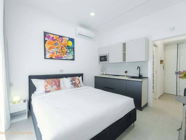 Appartamento in affitto a Cenisia, Torino