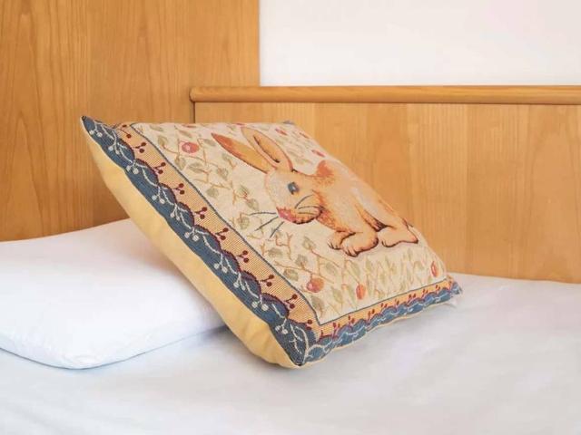 Appartamento in affitto a Comunità delle Giudicarie, Montagne