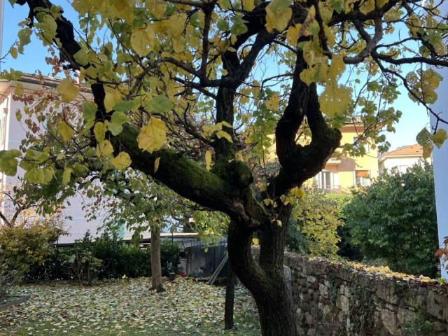 Appartamento in affitto a Territorio Val d'Adige, Trento