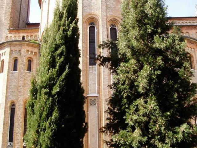 Appartamento in affitto a San Zeno, Treviso