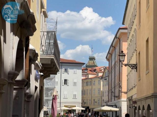 Appartamento in affitto a Città Nuova-Barriera Nuova-San Vito-Città Vecchia, Villa Opicina