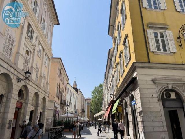Appartamento in affitto a Città Nuova-Barriera Nuova-San Vito-Città Vecchia, Villa Opicina