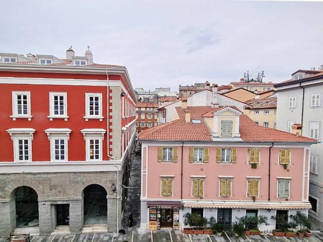 Appartamento in affitto a Città Nuova-Barriera Nuova-San Vito-Città Vecchia, Villa Opicina