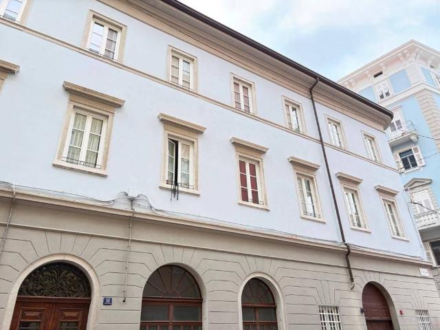 Appartamento in affitto a Città Nuova-Barriera Nuova-San Vito-Città Vecchia, Villa Opicina