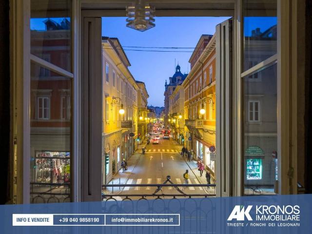 Appartamento in affitto a Città Nuova-Barriera Nuova-San Vito-Città Vecchia, Villa Opicina