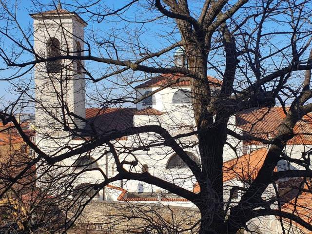 Appartamento in affitto a Città Nuova-Barriera Nuova-San Vito-Città Vecchia, Villa Opicina