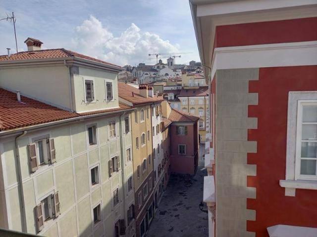 Appartamento in affitto a Città Nuova-Barriera Nuova-San Vito-Città Vecchia, Villa Opicina