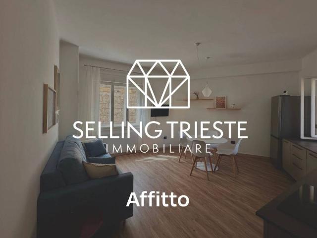 Appartamento in affitto a Città Nuova-Barriera Nuova-San Vito-Città Vecchia, Villa Opicina