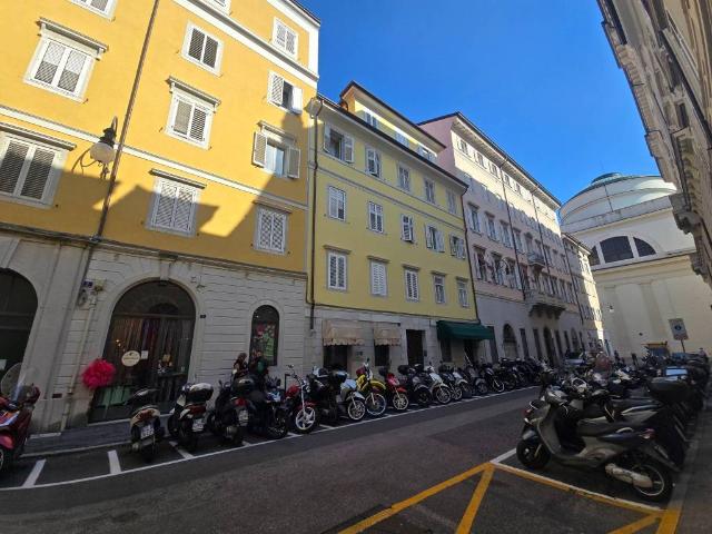Appartamento in affitto a Città Nuova-Barriera Nuova-San Vito-Città Vecchia, Villa Opicina