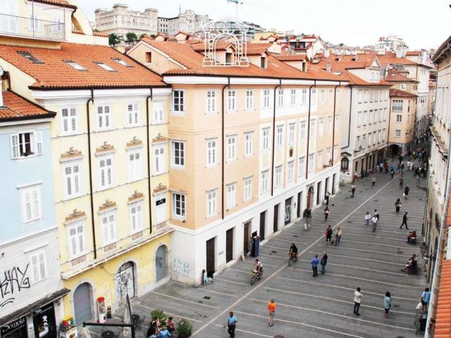 Appartamento in affitto a Città Nuova-Barriera Nuova-San Vito-Città Vecchia, Villa Opicina