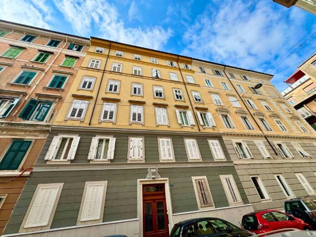 Appartamento in affitto a Città Nuova-Barriera Nuova-San Vito-Città Vecchia, Villa Opicina