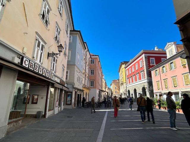 Appartamento in affitto a Città Nuova-Barriera Nuova-San Vito-Città Vecchia, Villa Opicina