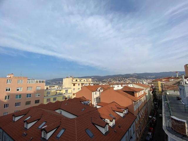 Appartamento in affitto a Città Nuova-Barriera Nuova-San Vito-Città Vecchia, Villa Opicina