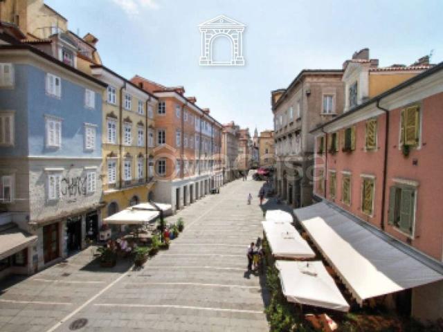Appartamento in affitto a Città Nuova-Barriera Nuova-San Vito-Città Vecchia, Villa Opicina