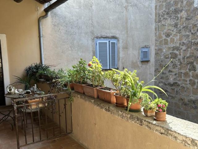 Appartamento in affitto a Tuscania, Lazio