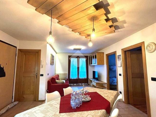 Appartamento in affitto a Comunità montana Alta Valtellina, Valdidentro