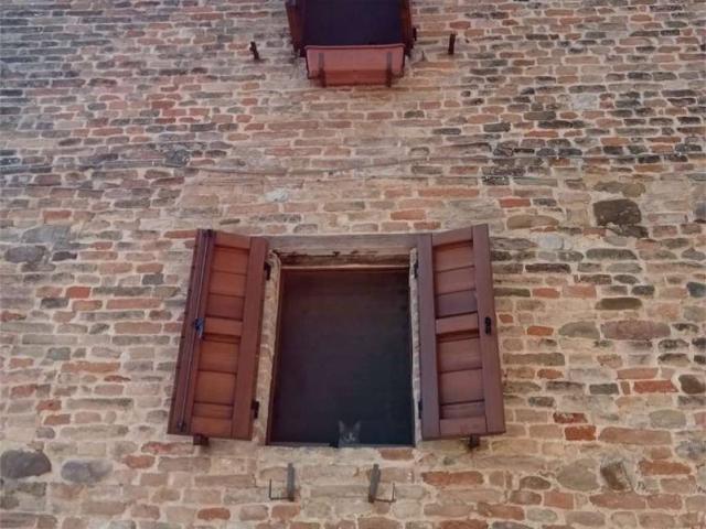 Appartamento in affitto a Vallefoglia, Marche