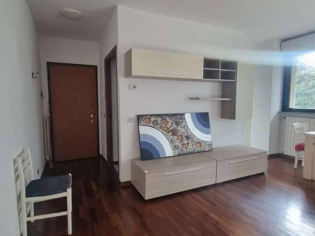 Appartamento in affitto a Biumo Superiore, Varese