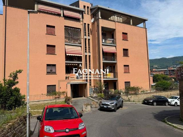 Appartamento in affitto a Velletri, Roma Capitale