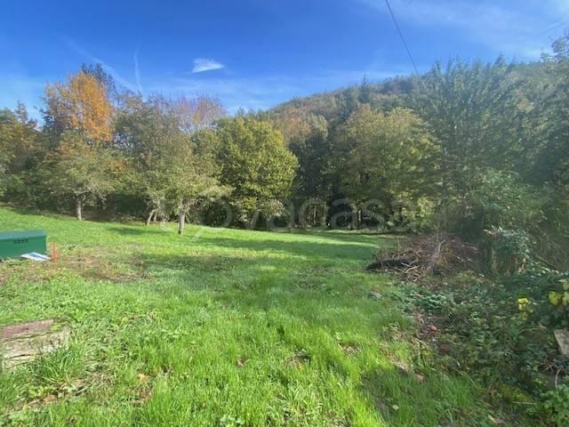 Appartamento in affitto a Appennino Reggiano, Re