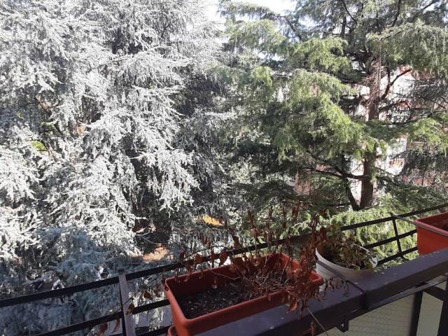 Appartamento in affitto a Brenzone, Verona