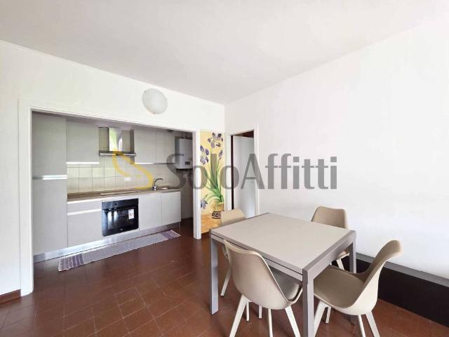 Appartamento in affitto a Ovest, Brenzone
