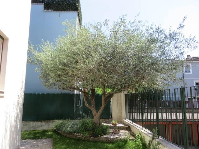 Appartamento in affitto a Sud, Brenzone