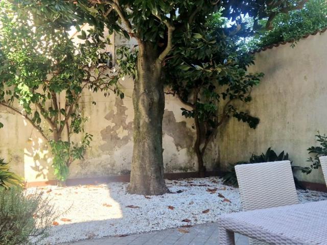 Appartamento in affitto a Viareggio, Lucca