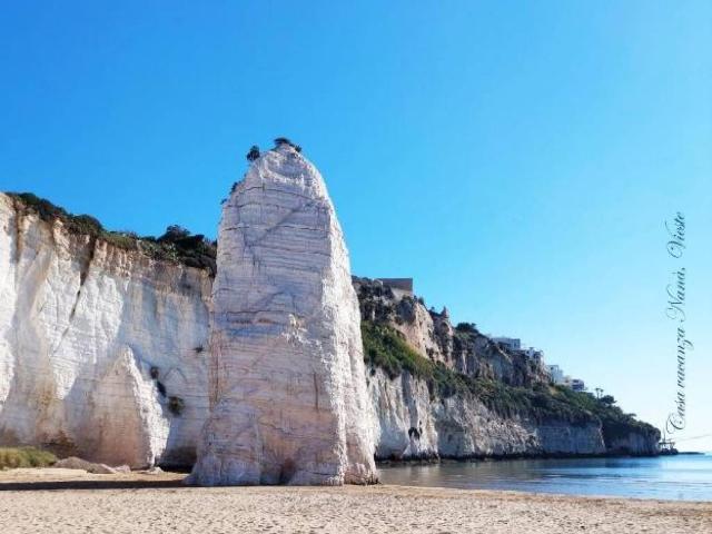 Appartamento in affitto a Puglia, Foggia