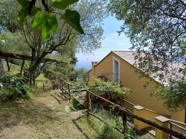 Appartamento in affitto a Parazzuolo, Zoagli