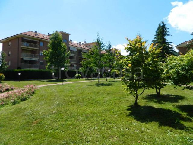 Appartamento in affitto a Piemonte, Alessandria