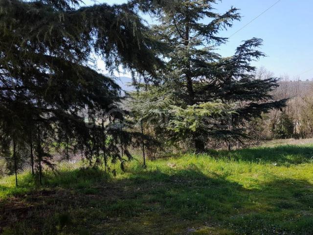 Appartamento in affitto a Amelia, Umbria